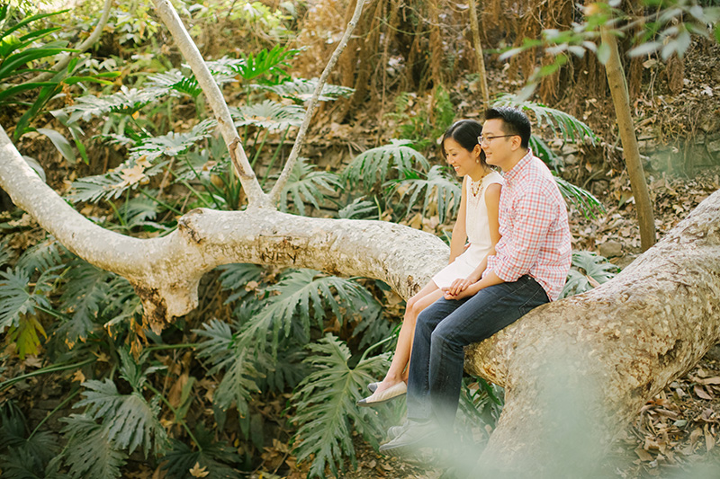 Griffith Park Engagement Session