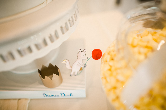 The Little Prince Themed Birthday Party