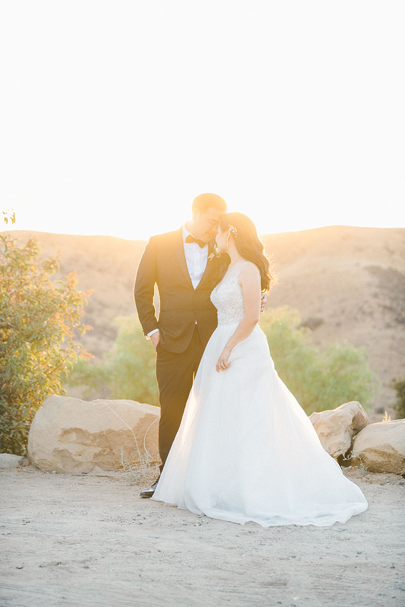 Hummingbird Nest Ranch Wedding Photos