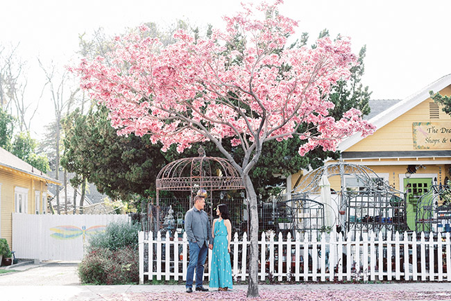 Oldtown Orange Engagement Photos