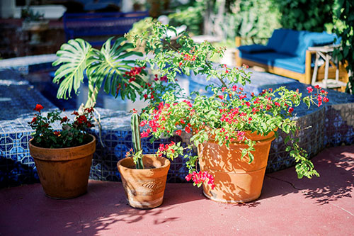 Hollywood Home Engagement Session