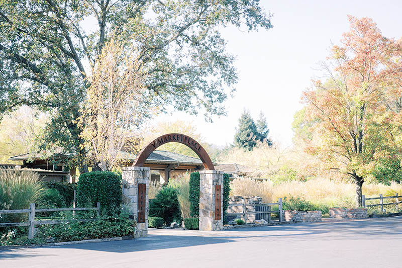 Napa Valley Wedding