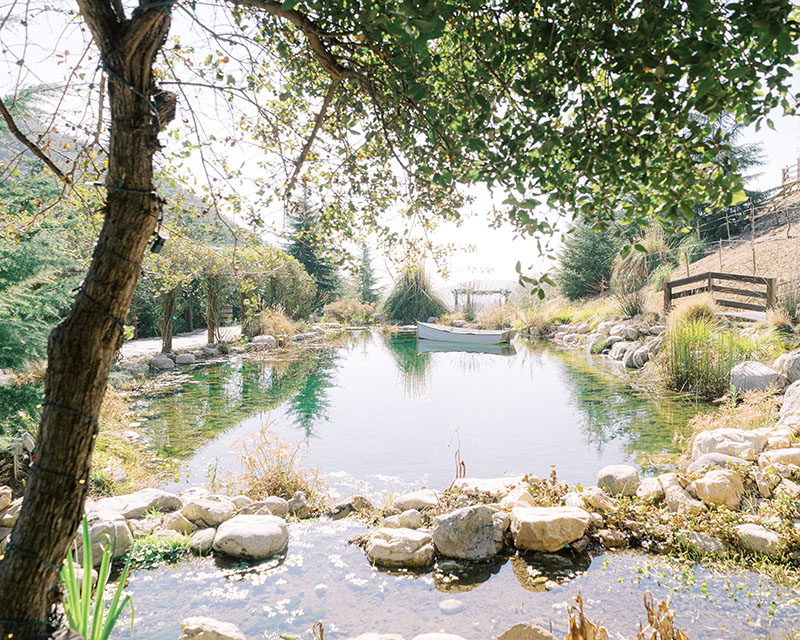 Serendipity Garden Wedding