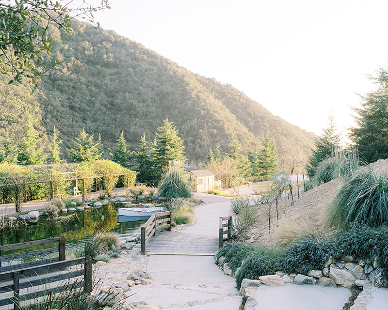 Serendipity Garden Wedding