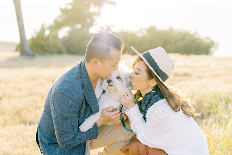 Dog engagement session