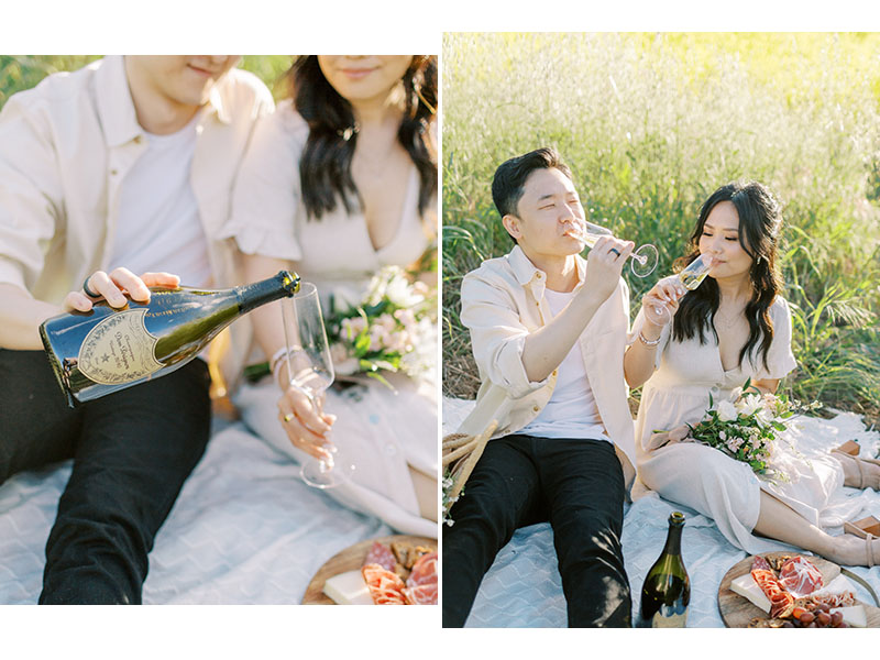 Picnic engagement session