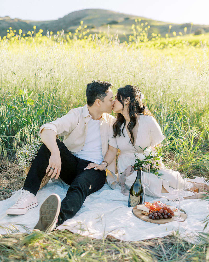 Picnic engagement session