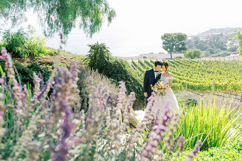 Catalina View Gardens Wedding