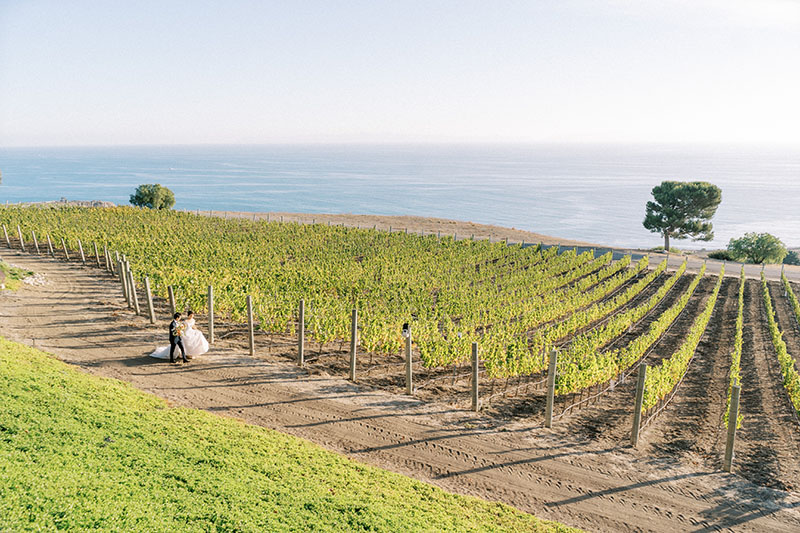 Catalina View Gardens Wedding