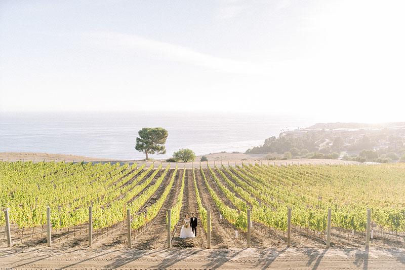 Catalina View Gardens Wedding